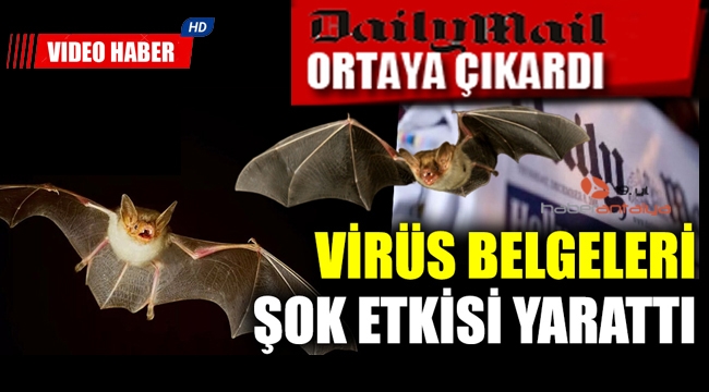 Daily Maily'in ortaya çıkardığı korona virüs belgeleri şok etkisi yarattı 