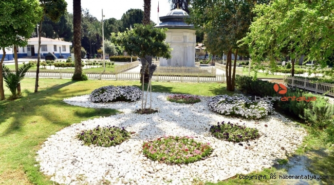 Dokumapark çiçek açtı