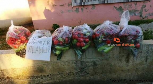 Gizli hayırseverden sebze yardımı