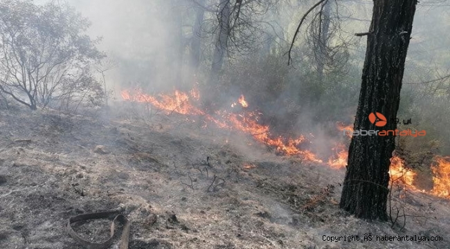 Kaş'ta orman yangını