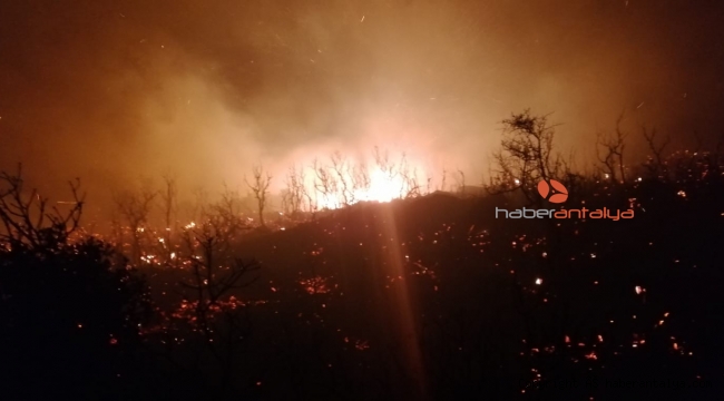 Kaş'ta zeytinlik ve makilik alan yangını