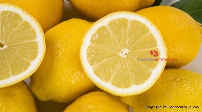 Limon ihracatı 31 Ağustos 2020'ye kadar Tarım ve Orman Bakanlığı'nın ön iznine bağlandı