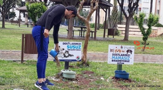 Masum canlar unutulmadı