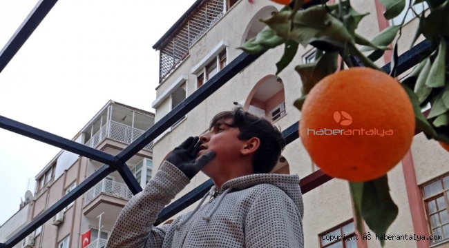 Nostaljik 'virüs' alışverişi