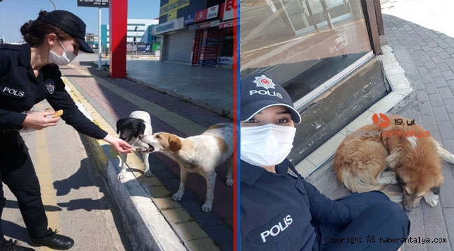 Polis içleri ısıttı