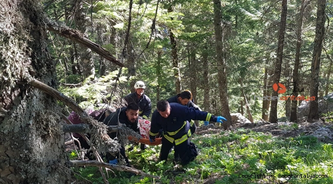Alanya'da araç uçuruma yuvarlandı: 1 ölü, 2 yaralı