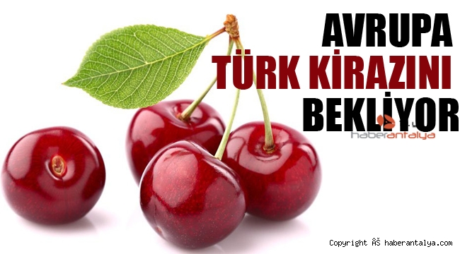 Avrupa, Türk kirazını bekliyor
