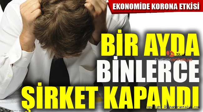 Bir ayda binlerce şirket kapandı 