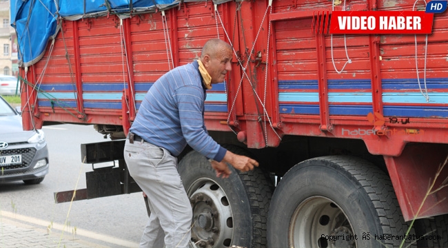 Can yoldaşına gözü gibi bakıyor 