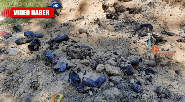 Çöpü yakacağım derken ormanı yaktı !