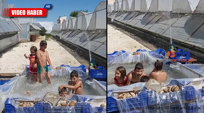 Domates kasasında havuz keyfi