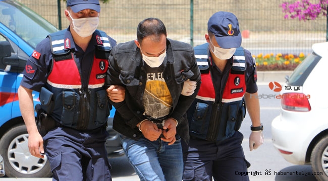 Evinde uyuşturucu yetiştirilen şüpheli serbest kaldı