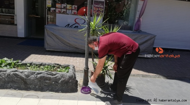 Öğretmen, öğrenci ve velilerden sokak hayvanlarına su