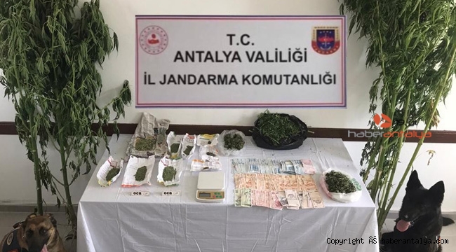 Serada uyuşturucu üretimine baskın