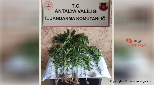 "Sokağa çıkamayınca kendim ürettim"