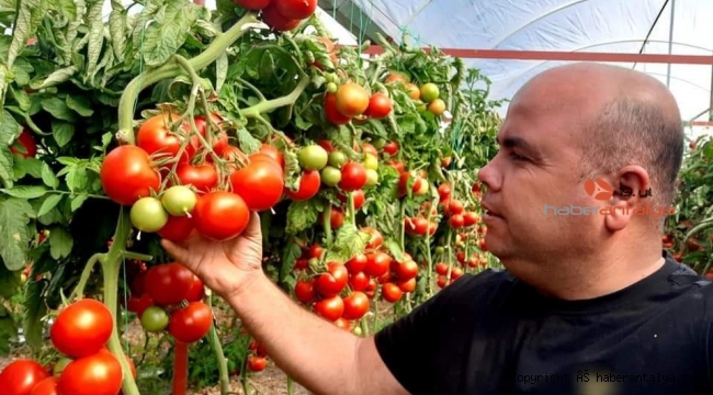 Tarım teşvikine fırsatçı uyarısı