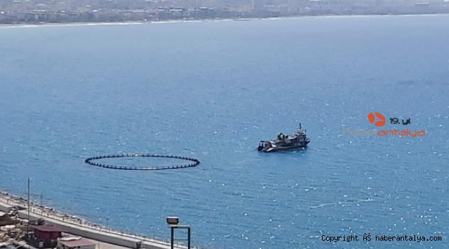 Alanya limanında orkinos kirliliği iddiası !