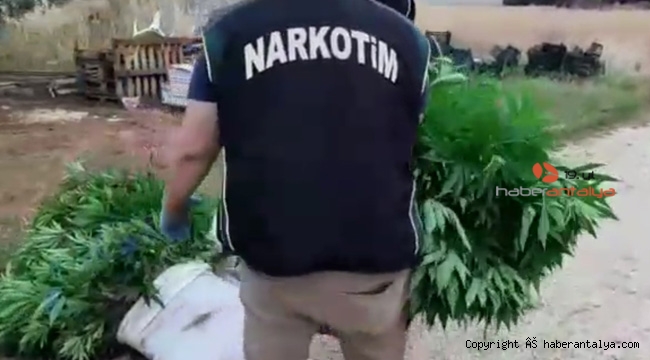 Antalya'da uyuşturucu operasyonu