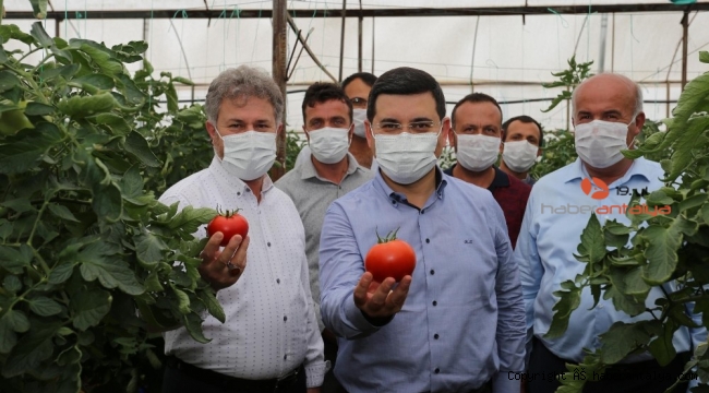Başkan Tütüncü'den çiftçiye çifte müjde