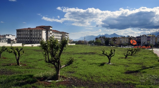 Çamlıbel'e narenciye bahçesi