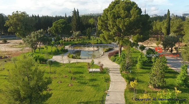 Dokuma Park, 5400 bitkiye ev sahipliği yapacak