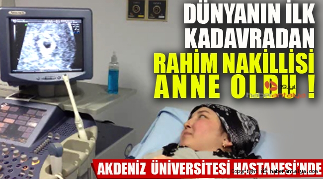 Kadavradan rahim nakledilen kadın anne oldu