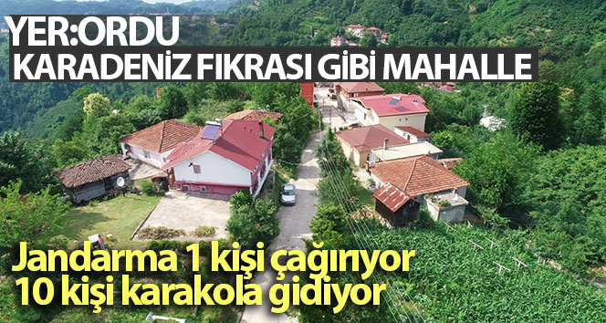 Karadeniz fıkrası gibi mahalle