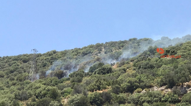 Kaş'ta bir yangın daha !