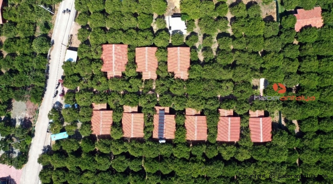 Kemer'de kaçak yapıya taviz verilmeyecek