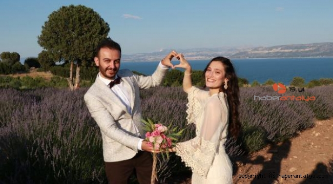 Lavanta bahçeleri büyük ilgi görüyor