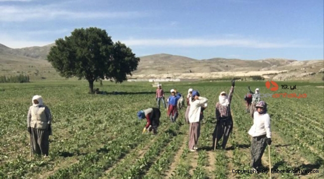 Mesaileri 35 derece sıcaklıkta da devam ediyor