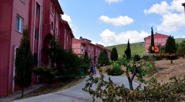''Önce diktim diye. şimdi de kestim diye hakaret yiyorum''