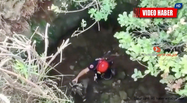 Sarnıca düşen kuzu için seferber olundu
