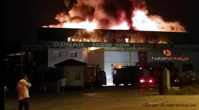Serik'te soğuk hava deposunda yangın