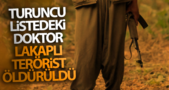 Tunceli’de Turuncu Liste’de yer alan 'Doktor' lakaplı terörist öldürüldü