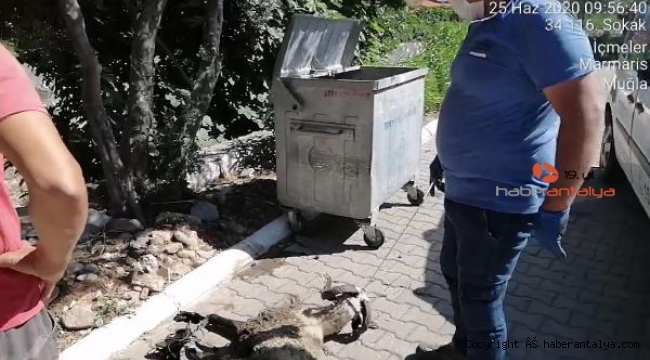 Vicdansızlar yine iş başında !