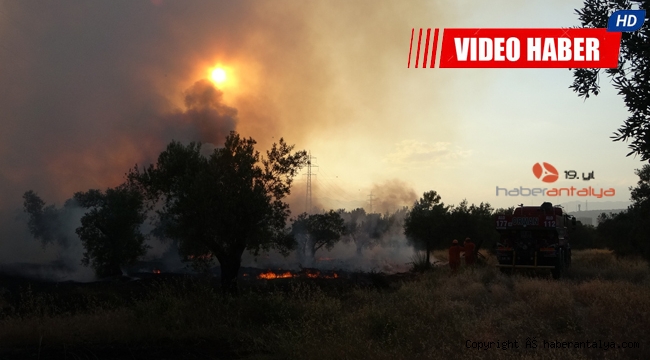 Zeytinpark'ta korkutan yangın