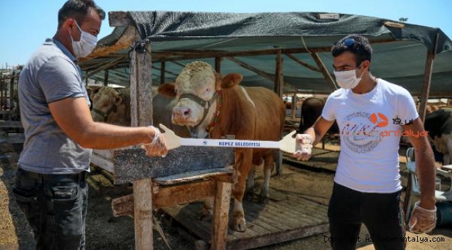 Tokalaşma kiti pazarlığın hararetine dayanamadı