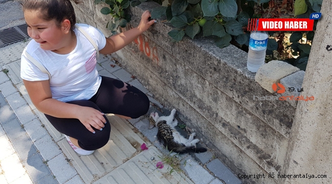 9 yaşındaki Laden, gözyaşlarına boğan olay