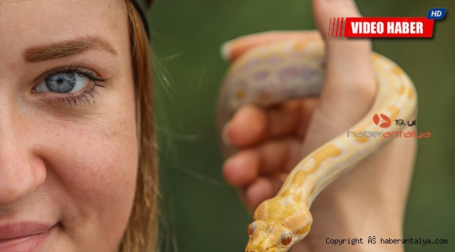 Albino piton yavrusu, Antalya Akvaryum'un maskotu oldu