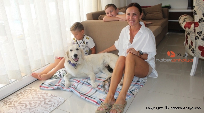 Annesiz kedi yavrularına evin köpeği sahip çıktı