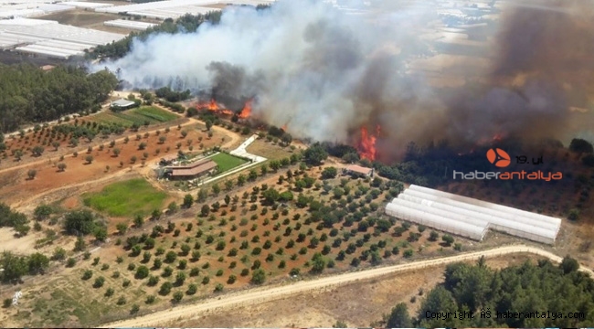 Antalya'da orman yangını !