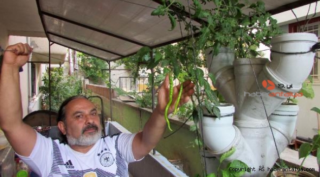 Balkonuna borulardan 'sebze ağacı' yaptı