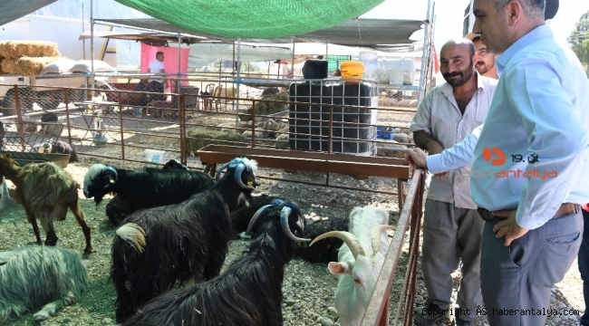 Bayram hazırlıkları tamamlandı. Özel kurban timi kuruldu !