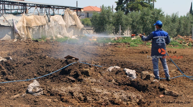 Büyükşehir, binlerce kişiyle vektörel mücadeleye devam ediyor