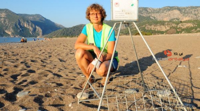 Caretta carettaların gönüllü Rus koruyucusu
