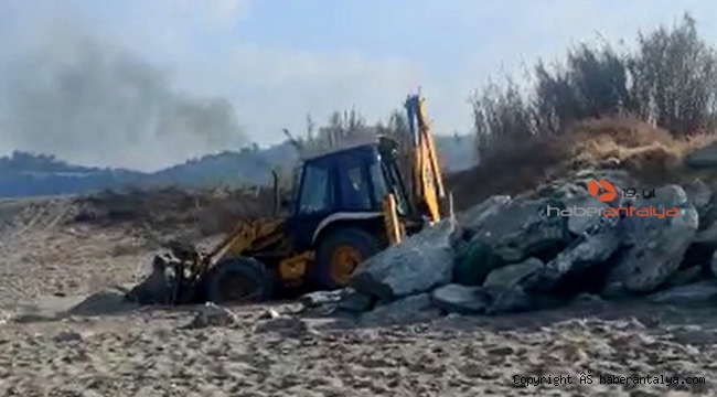 Deniz kaplumbağası yuvaları, iş makinesiyle ezildi