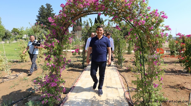 Dokuma Botanik Park’ta çalışmalar devam ediyor