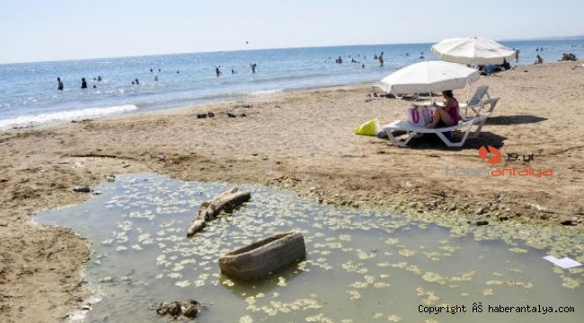 Dünyaca ünlü plajda plajda kirlilik ve koku rahatsızlığı 