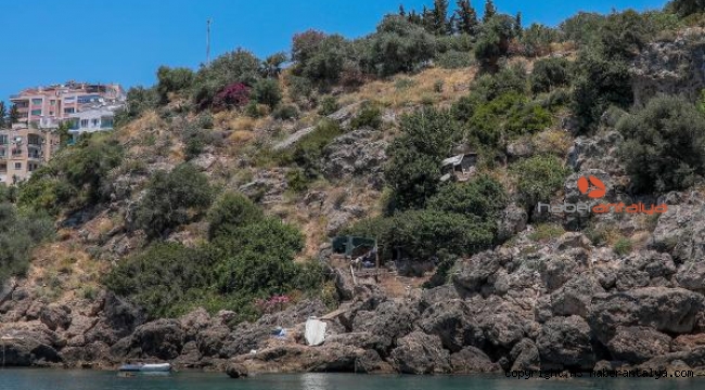Falezkondu kirliliği geri döndü